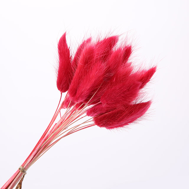 1Pc Naturally Dried Cotton Flowers Artificial Plants Floral Branch For Diy Wedding Party Decoration Home Cotton Garland Decor