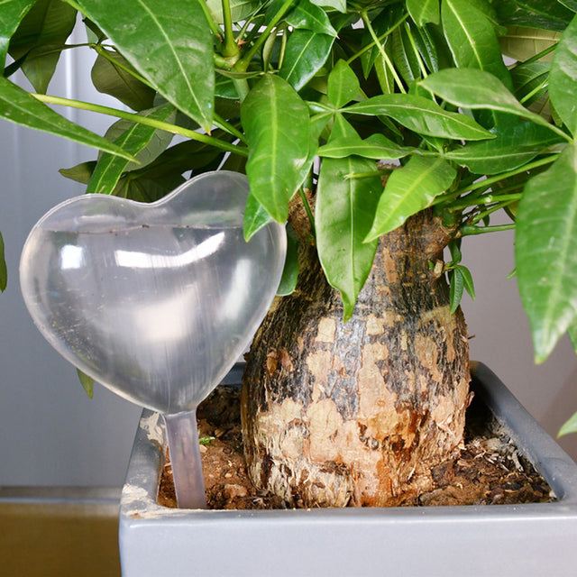 350mL Plant Life Support Drip Irrigation Home/Garden Plant Automatic Self Watering System Equipment for Plant Water
