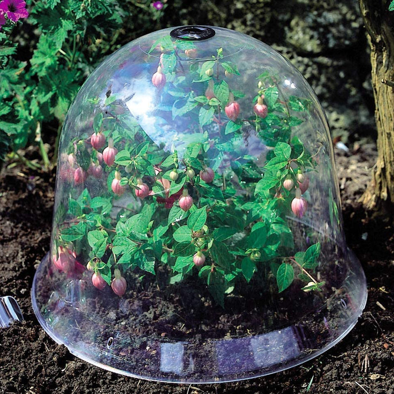 1/6/12PCS Plant Protect Bell Cover Reuseable Plastic Greenhouse Bell Cover Seeds Germination Frost Guard Freeze Protection Dome