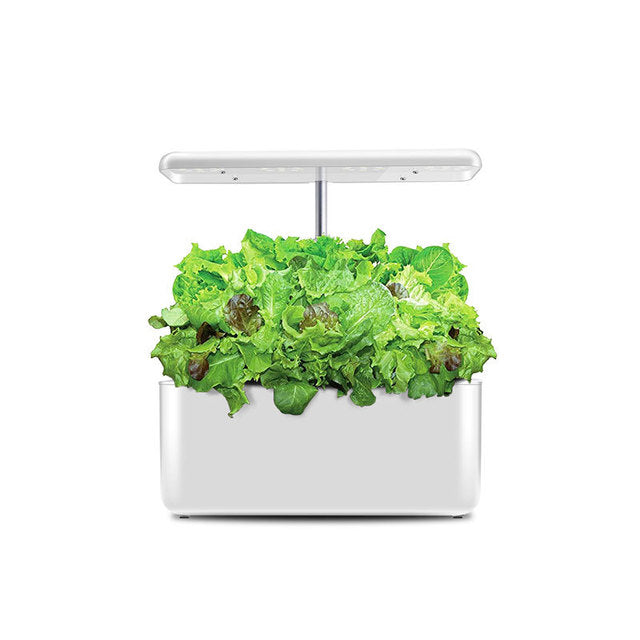 NEW NEW NEW Hydroponics Growing System Indoor Herb Garden Starter Kit With LED Grow Light Smart Garden Planter For Home Kitchen